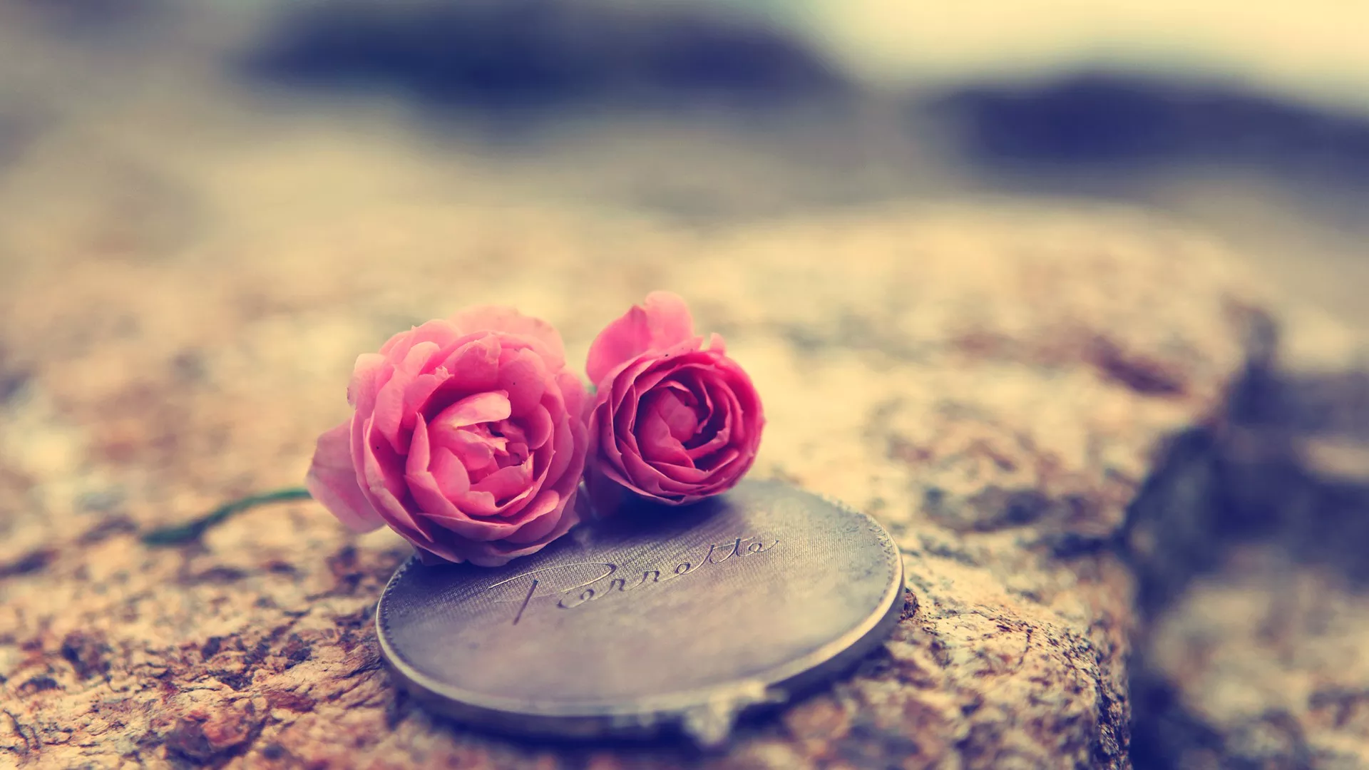 Love Flowers And Coins Wallpaper HD