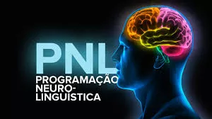 o que e pnl